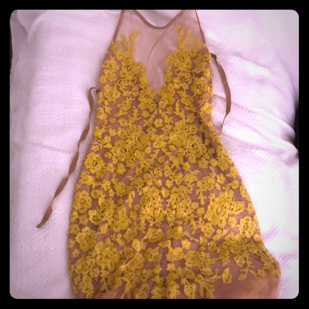 For Love and  Lemons Dress